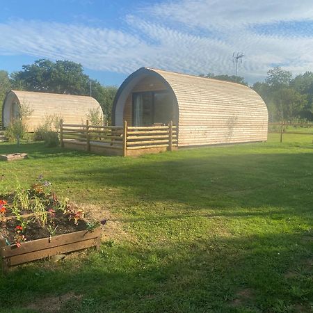 Beech Pod Cabin In Beautiful Surroundings Wrexham Exteriér fotografie